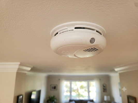 60-Day Battery Ceiling-Mount Wi-Fi Security Camera (Non-Functioning Alarm Casing)